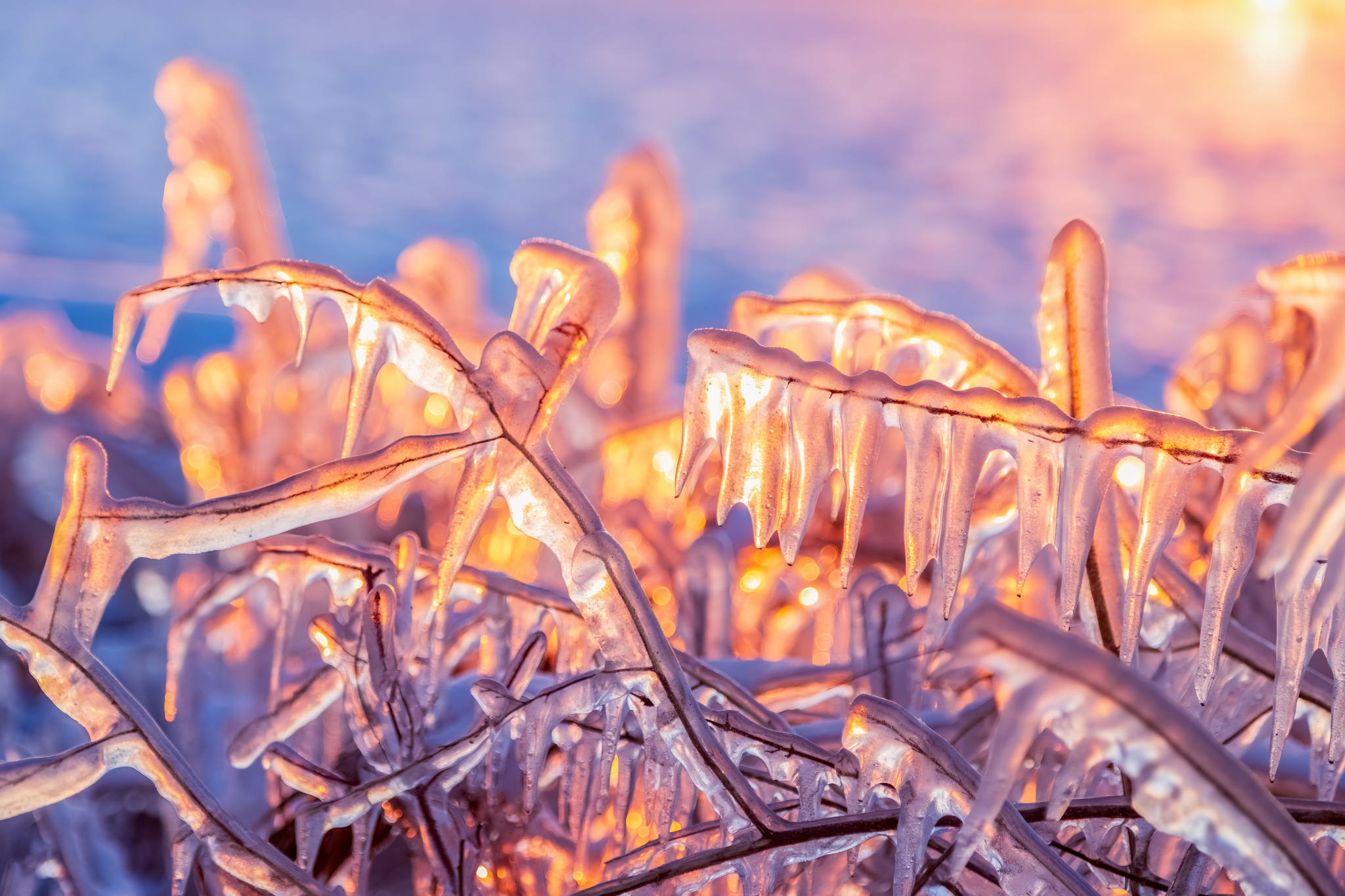 Meeting Photo Slide Show